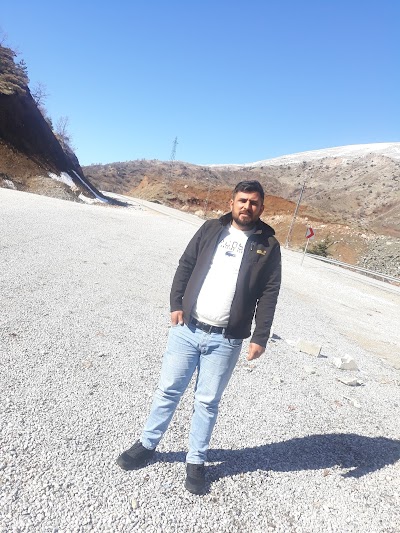 Alav Petshop
