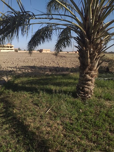 البوكمال