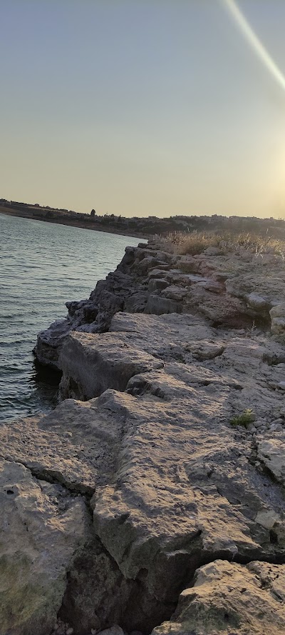 البوزية