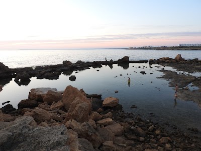 البركة السخنة