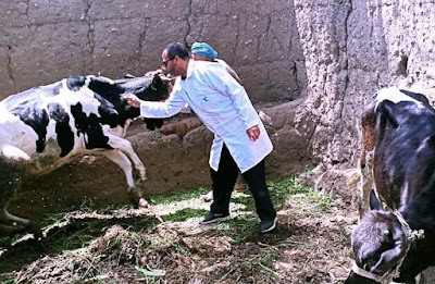 الدكتور عبيد