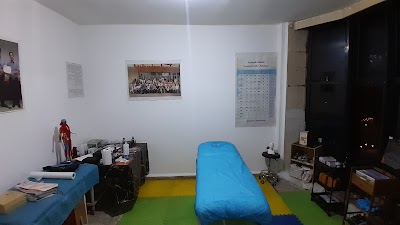 الدكتور علي شومان