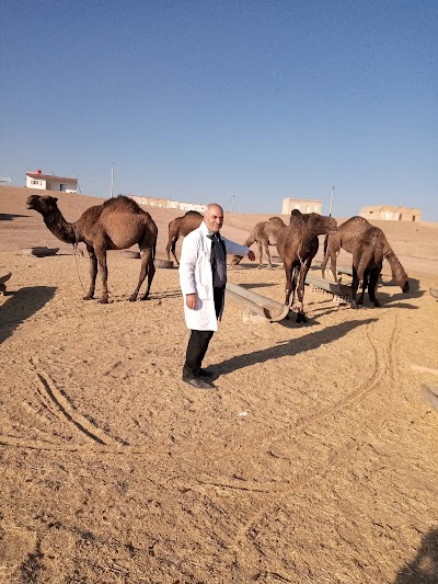 الدكتور كاظم سليمان