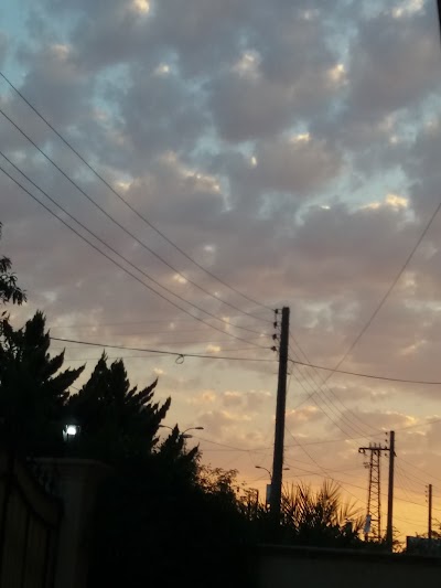 الدكتور نشوان عبد الواحد