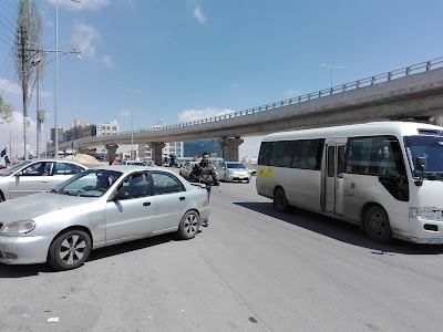 الدوريا الخارجيه