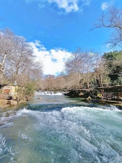 الدريكيش
