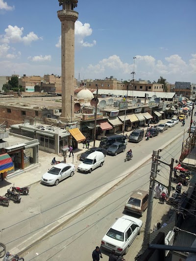 الجامعه الكبير