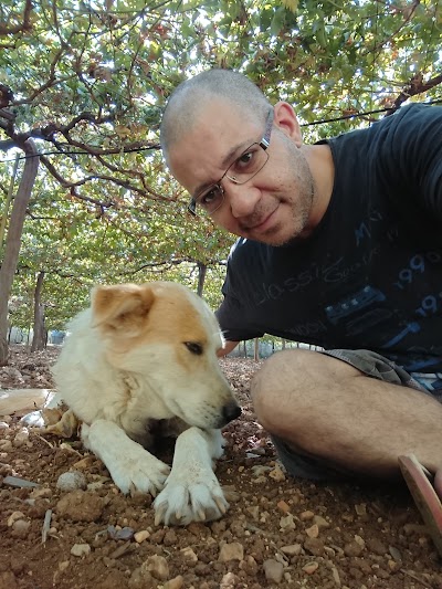 الجاني للإتصالات