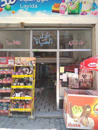 الحياة مول
