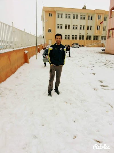 Ali Karaata Anadolu Lisesi