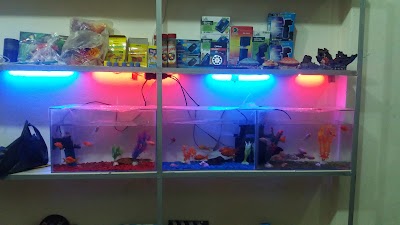 Almaraei Mare` fish