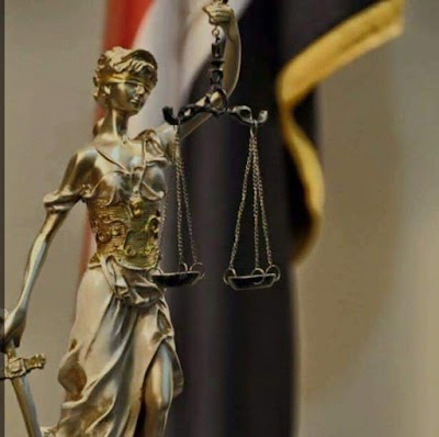 المحامي شادي شاهين