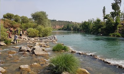 النشوا الغربية