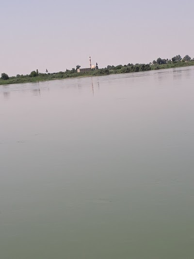 الوحده الارشادية