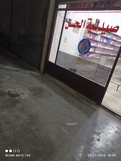 الشارع العام