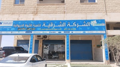 الشركة الشرقية لتنمية الثروة الحيوانية