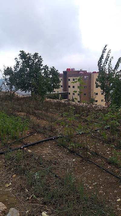 السكن الجامعي لجامعة الأندلس الخاصة