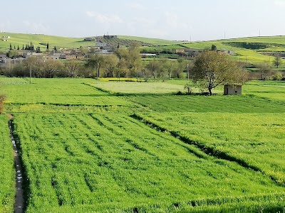 التوخار الكبير