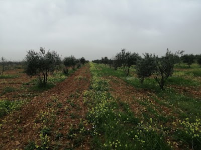 أم حارتين حماه سوريا