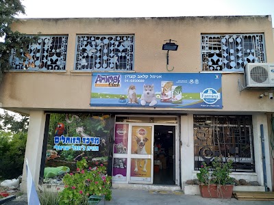 Animal Club - a pet shop and reptile center
