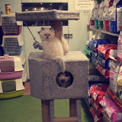 Animal Planet (ROYAL CANIN)