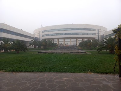 Arab International University (AIU)