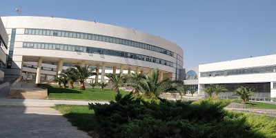 Arab International University