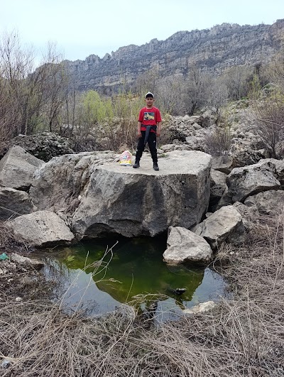 Arakoy Ortaokulu