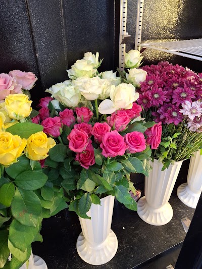 Areen Flower