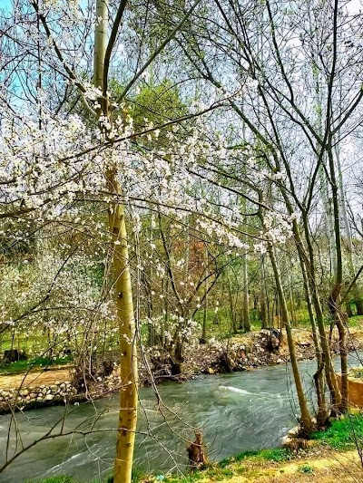 اشرفية الوادي