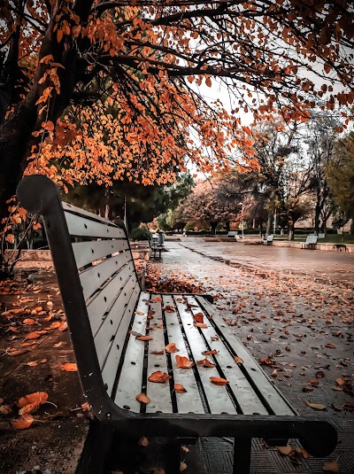 اتستراد المدني