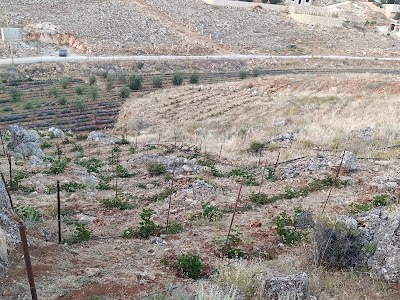 Atv tours (ADRENALINE) abo chadi