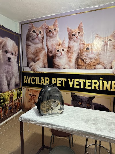 Avcilar Pet Veteriner Kliniǧi