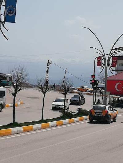 Avis Şırnak
