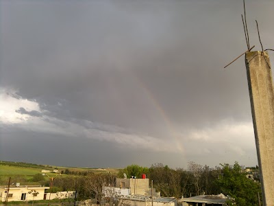 Ayn Al Naser