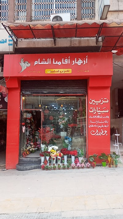 أزهار آفاميا الشام