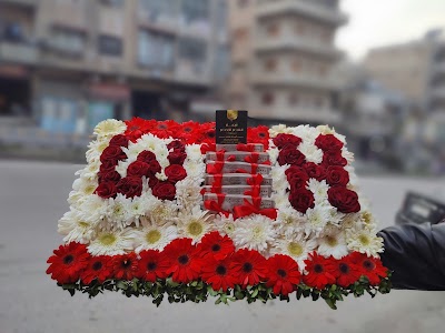 ازهار القصر الاخضر