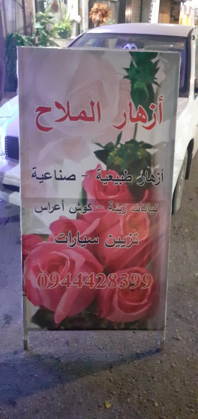 أزهار الملاح