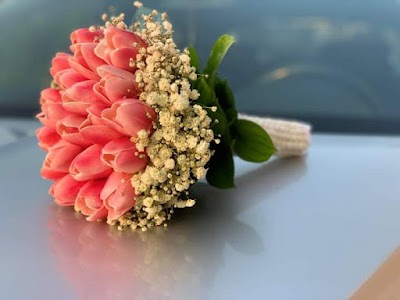 ازهار روح الياسمين
