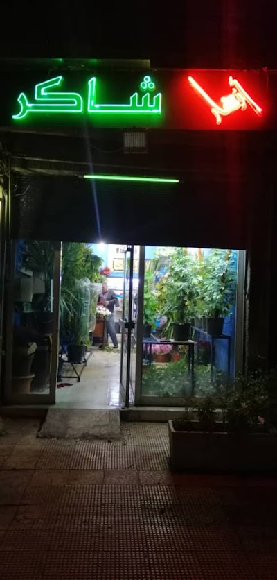 ازهار شاكر