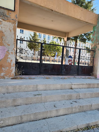 Aziz Sancar High School
