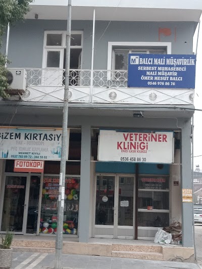 BALCI MALİ MÜŞAVİRLİK BÜROSU (MALİ MÜŞAVİR ÖMER MESUT BALCI)
