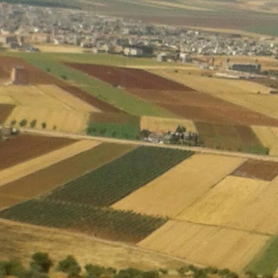 Bank of Syria and Overseas