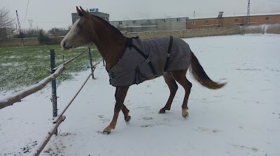 Baran Otomotiv