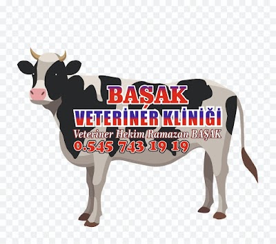 BAŞAK VETERİNER KLİNİĞİ NUSAYBİN