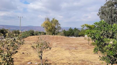 Beit Ha'am