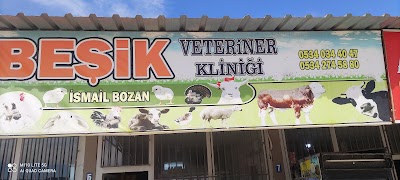Beşik veteriner kliniği