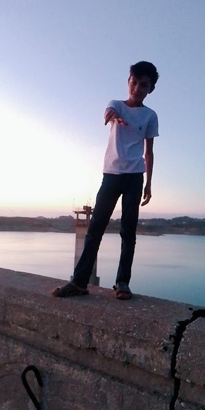بحيرة الثورة