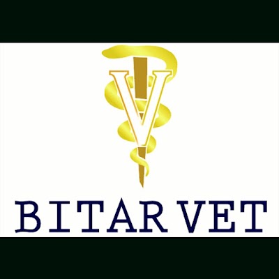 Bitar vet