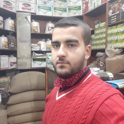 بن قهوة بريمو